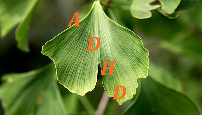 ADHD a antioxidanty