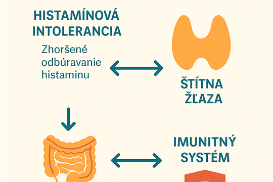 Histamínová intolerancia a štítna žľaza - súvislosti, ktoré sa oplatí poznať
