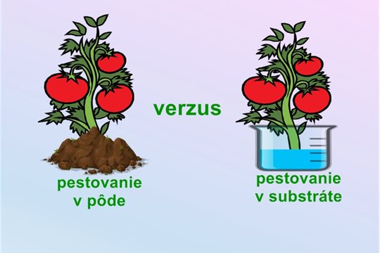 Zabúdame na chuť vypestovanej paradajky s vôňou slnka.