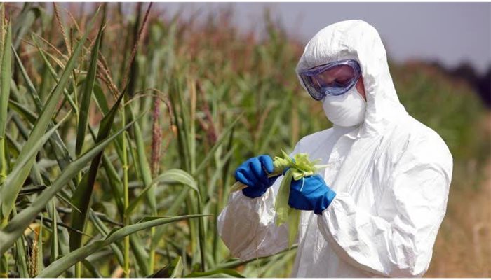 Pesticídy v potravinách