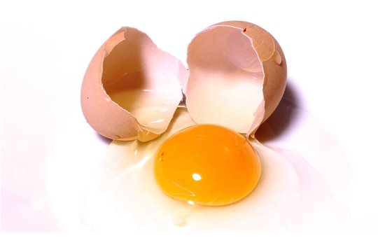 Vajíčka ako plnohodnotná potravina