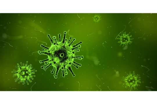Ako ovplyvňujú život človeka vírusy a baktérie 